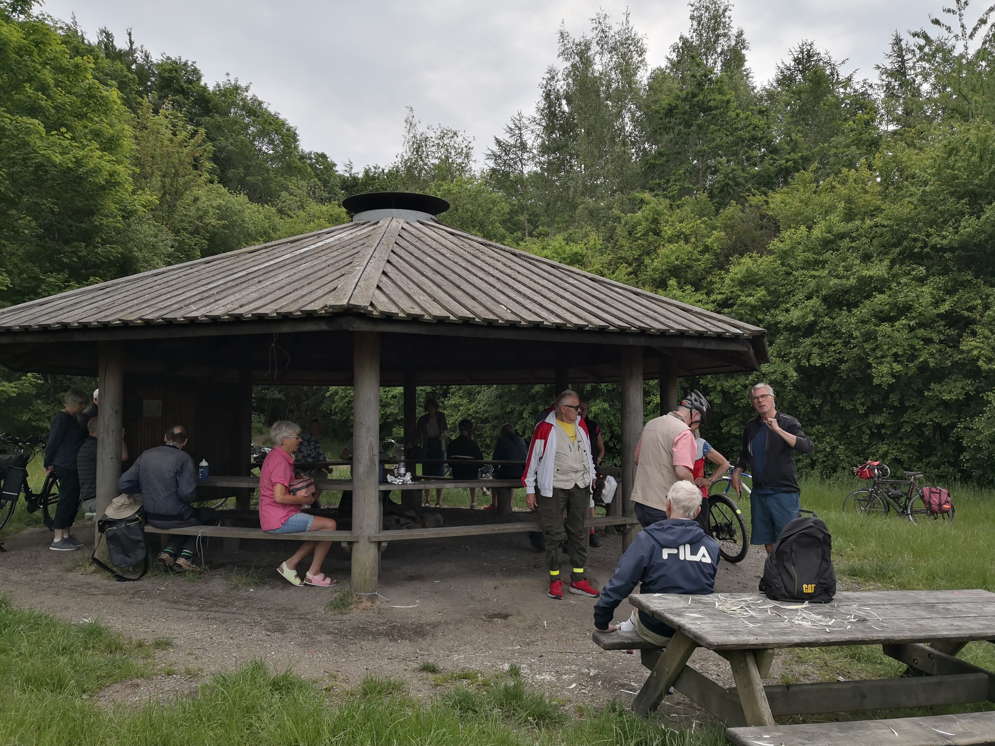 Shelteret vest for Lave Skov