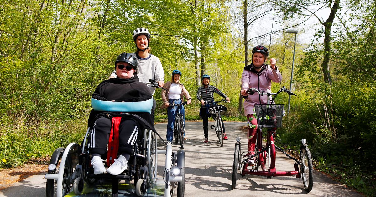 Se insekter Måned Rundt om Mennesker med handicap skal have bedre mulighed for at cykle