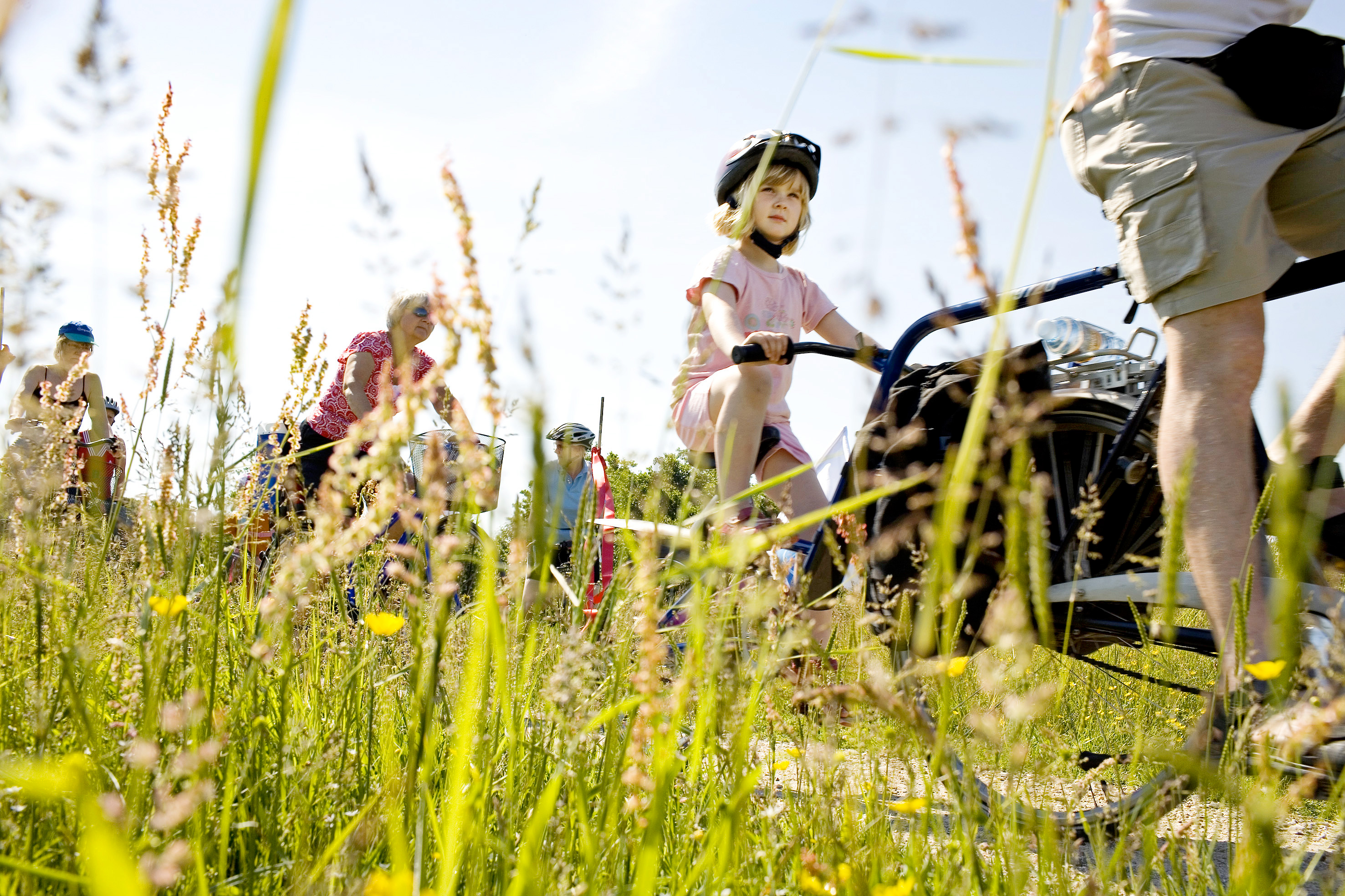 Cykling i skoven