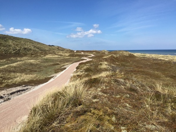 Thisted lokalafdeling